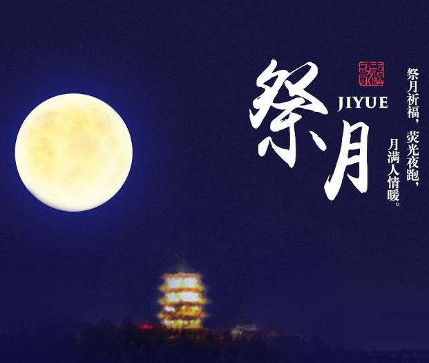 231663893166180973.jpeg 4.jpg