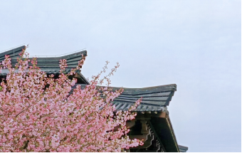 071680827375196496.png image.png