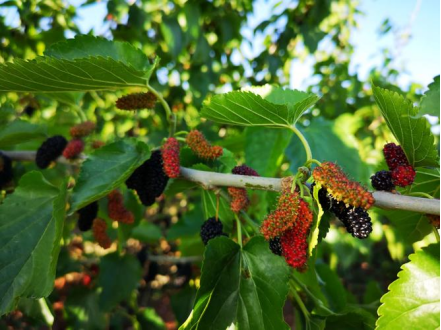 311685510970321565.png image.png