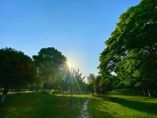 311685511130161264.png image.png