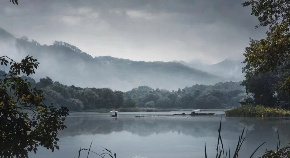 141731569030172282.png 1731569011935.png